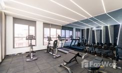 Фото 3 of the Communal Gym at BRIXTON Pet and Play Sukhumvit 107