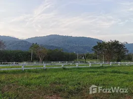 ขายที่ดิน ใน หมูสี, นครราชสีมา, หมูสี, ปากช่อง, นครราชสีมา, ไทย
