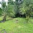  Land for sale in Pococi Limon, Pococi, Limon