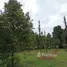  Land for sale in Chanthaburi, Phlapphla, Mueang Chanthaburi, Chanthaburi
