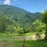  Land for sale in Phuket, Karon, Phuket Town, Phuket