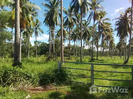  Terrain for sale in Thaïlande, Pa Khlok, Thalang, Phuket, Thaïlande