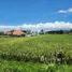 在里岛出售的 土地, Mengwi, Badung, 里岛