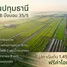 ขายที่ดิน ใน บึงบอน, ปทุมธานี, บึงบอน, หนองเสือ, ปทุมธานี, ไทย