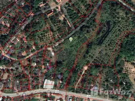 ขายที่ดิน ใน แม่แตง, เชียงใหม่, แม่แตง, แม่แตง