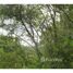  Land for sale in Guanacaste, Santa Cruz, Guanacaste