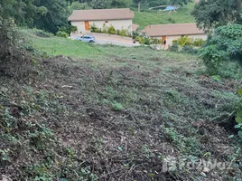 ขายที่ดิน ใน บ่อผุด, สุราษฎร์ธานี, บ่อผุด