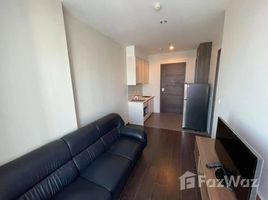 1 Bedroom Condo for rent at C Ekkamai, Khlong Tan Nuea