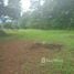  Terreno (Parcela) en venta en Costa Rica, Pococi, Limón, Costa Rica