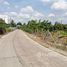  Land for sale in Pathum Thani, Bang Luang, Mueang Pathum Thani, Pathum Thani