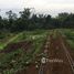  Terrain for sale in Laos, Paksxong, Champasak, Laos