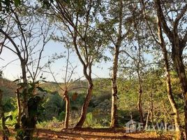  Land for sale in Veraguas, Calidonia, Sona, Veraguas