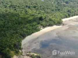  Grundstück zu verkaufen in Catanauan, Calabarzon, Catanauan, Quezon, Calabarzon, Philippinen