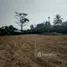  Land for sale in Choeng Thale, Phuket, Choeng Thale