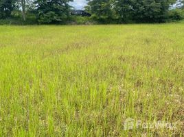 ขายที่ดิน ใน ชมพู, ลำปาง, ชมพู, เมืองลำปาง