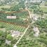  Land for sale in Tha Takhro, Phetchaburi, Tha Takhro, Nong Ya Plong