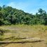  Terrain for sale in Nicoya, Guanacaste, Nicoya