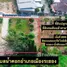  Земельный участок for sale in Nam Khok, Районг, Nam Khok