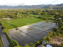  Terreno (Parcela) en venta en Tailandia, Rong Wua Daeng, San Kamphaeng, Chiang Mai, Tailandia