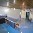 10 Bedroom House for sale in Perez Zeledon San Jose, Perez Zeledon