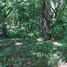  Land for sale in Roatan, Bay Islands, Roatan