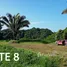  Terrain for sale in Guanacaste, Carrillo, Guanacaste