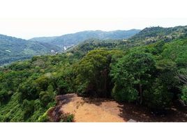 San Jose 11- acre property with incredible Valley, Mountain, and Ocean Views: Mountain Home Construction Site, Platanillo de Dominical, San José N/A 土地 售 