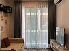 1 Bedroom Condo for rent at BRIXTON Pet and Play Sukhumvit 107, Bang Na