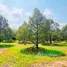  Land for sale in Ban Laeng, Rayong, Ban Laeng
