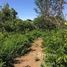  Grundstück zu verkaufen im Liberia, Liberia, Guanacaste