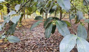 N/A Land for sale in Wang Saem, Chanthaburi 