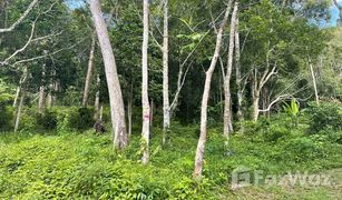 N/A Land for sale in Patong, Phuket 