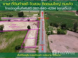  Земельный участок for sale in Chai Nat, Suk Duean Ha, Noen Kham, Chai Nat