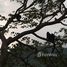 N/A Terreno (Parcela) en venta en , Guanacaste Eagles View 5098: Eagle’s View is the most spectacular parcel of land available in Project Los Monos, Playa Samara, Guanacaste