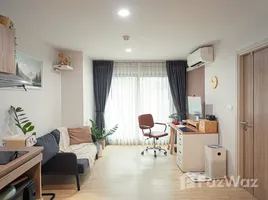 ขายคอนโด 1 ห้องนอน ในโครงการ ดิ เอ็กเซล ไฮด์อะเวย์ สุขุมวิท 50 , พระโขนง