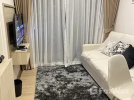 คอนโด 1 ห้องนอน ให้เช่า ในโครงการ ฟีล ภูเก็ต บาย เซนทรัล พัฒนา, วิชิต, เมืองภูเก็ต, ภูเก็ต