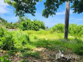 Terrain à vendre à San Felipe De Puerto Plata, Puerto Plata, San Felipe De Puerto Plata, Puerto Plata, République dominicaine