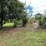 Grundstück zu verkaufen im THIRD FLOOR CAMPO ALTO CONDO.: .900701003-160, San Carlos, Alajuela