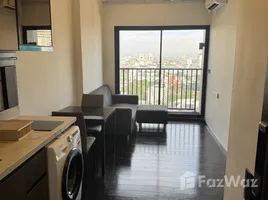 คอนโด 1 ห้องนอน ให้เช่า ในโครงการ พาร์ค ออริจิ้น ทองหล่อ, คลองตันเหนือ