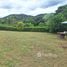  Terrain for sale in Atenas, Alajuela, Atenas