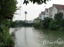Studio Biệt thự for sale in Vinhomes Riverside the Harmony, Phúc Lợi, Phúc Lợi