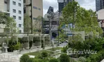 Communal Garden Area at The Strand Thonglor