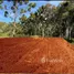  Terrain for sale in Pérou, Bagua, Amazonas, Pérou