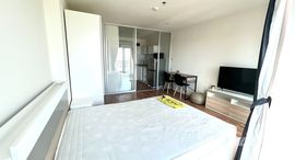 ยูนิตที่เหลืออยู่ในโครงการ ลุมพินี วิลล์ พัฒนาการ - ศรีนครินทร์ 