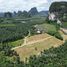  Land for sale at Prime Land for Sale in Nong Thale Krabi, Nong Thale