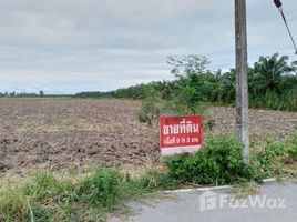  토지을(를) Nakhon Si Thammarat에서 판매합니다., Pak Phanang, Nakhon Si Thammarat