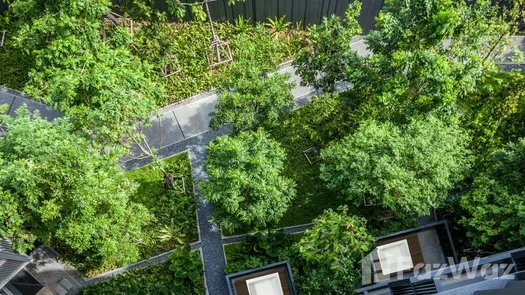 Photo 1 of the Communal Garden Area at The Deck Patong