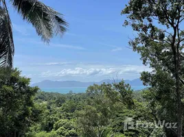  Grundstück zu verkaufen in Koh Samui, Surat Thani, Maenam