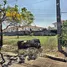  Land for sale at Theptanee Village, Dokmai
