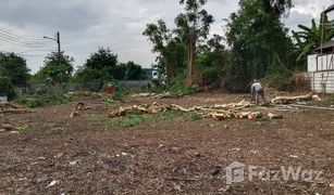 N/A Grundstück zu verkaufen in San Phranet, Chiang Mai Moo Baan Phimuk 4